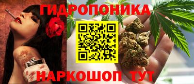 прущие грибы Новодвинск