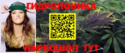 прущие грибы Новодвинск