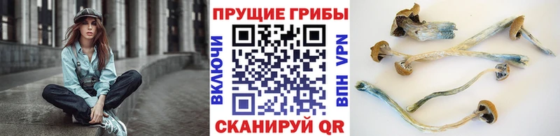 Галлюциногенные грибы мицелий  blacksprut маркетплейс  Ярцево 