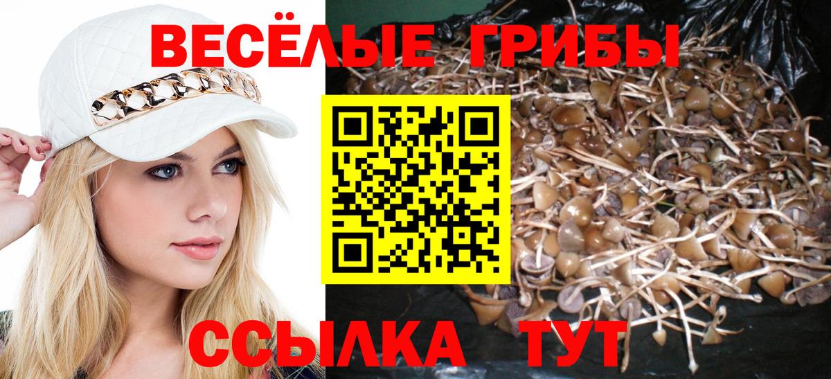 Ярцево  Галлюциногенные грибы Psilocybine cubensis  Галлюциногенные грибы GOLDEN TEACHER  Вход с VPN 